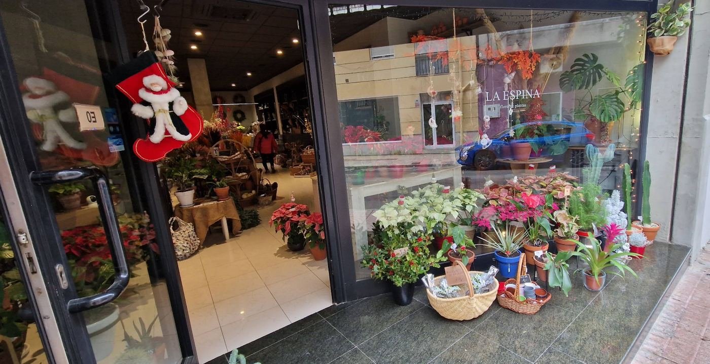 Plantas y macetas en la entrada de la tienda
